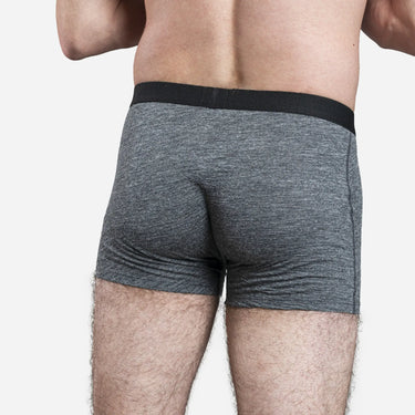 Men's Alpaca Wool Boxer Briefs: 160 Ultralight color Gray