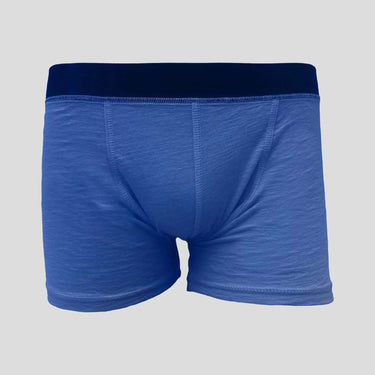 Men's Alpaca Wool Boxer Briefs: 160 Ultralight Color Natural Blue